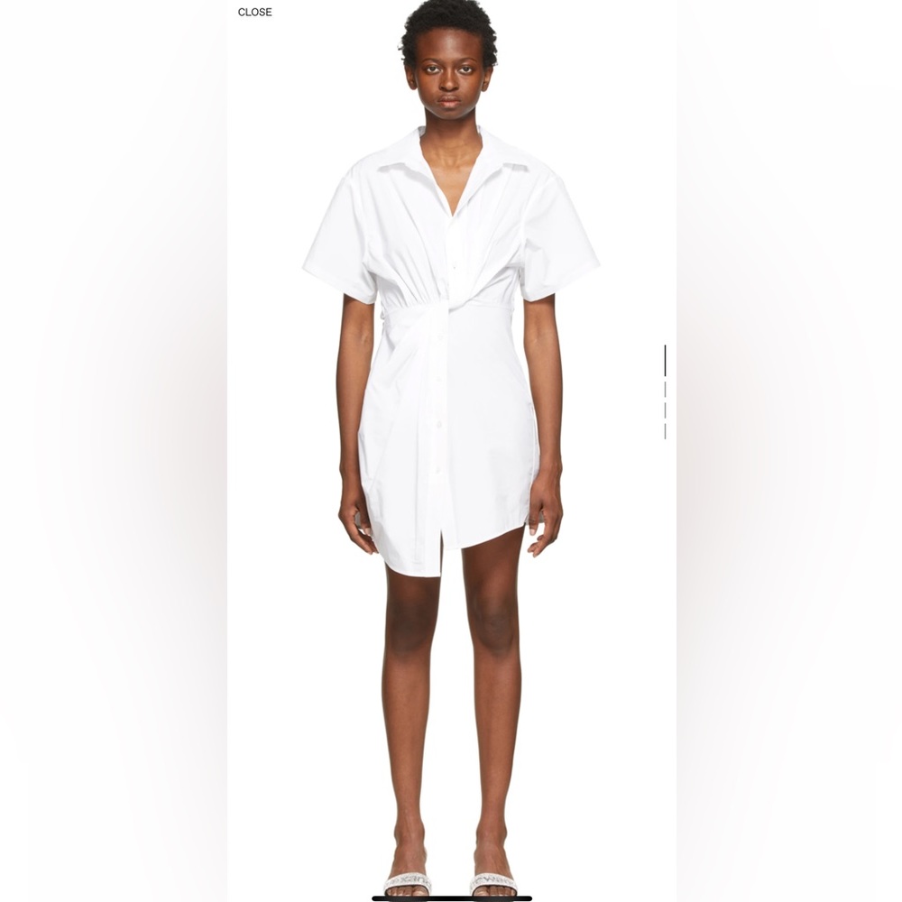 Alexander wang shirt dress